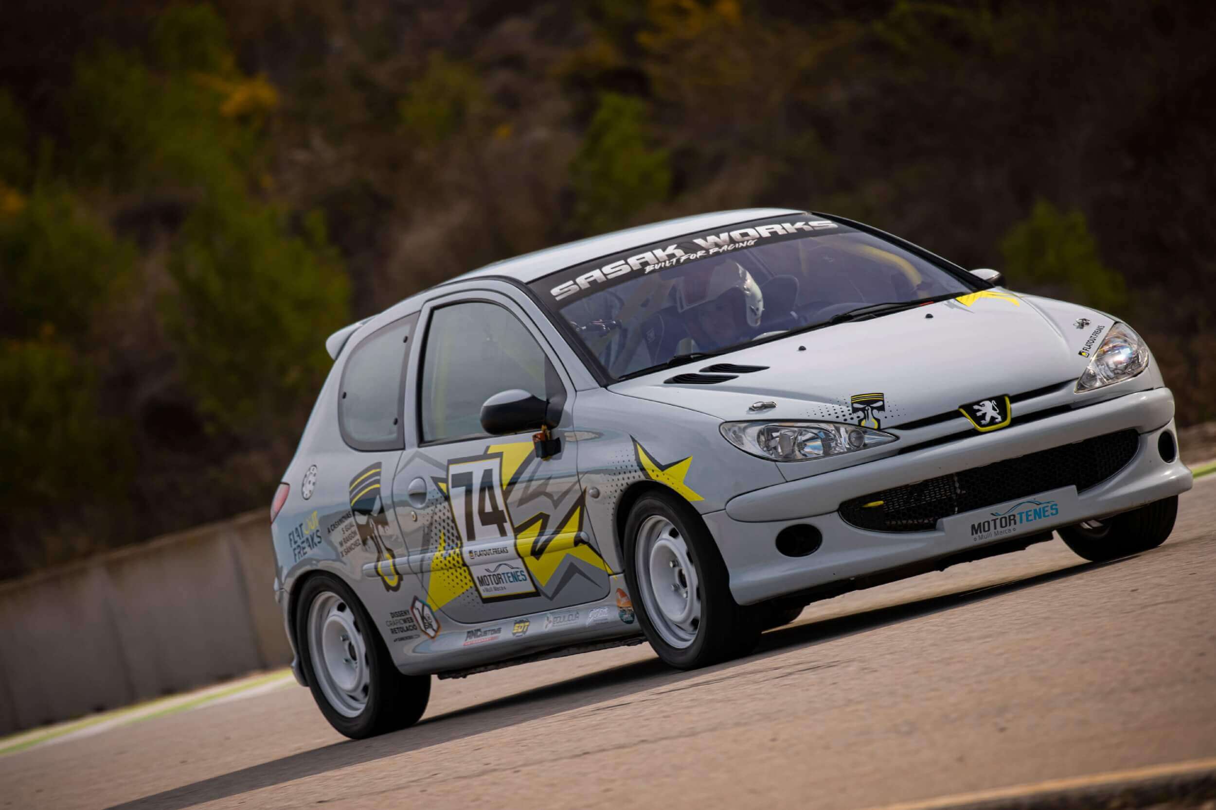 206 gti
